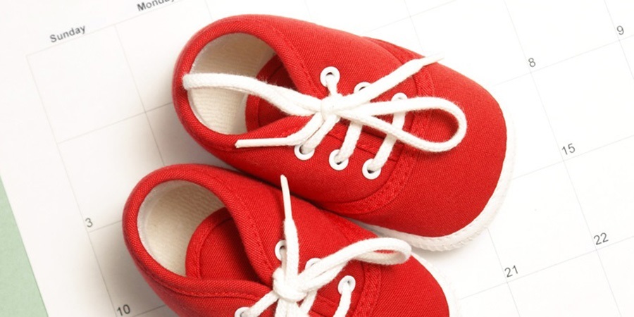 Tridsiaty prvý týždeň tehotenstva 31. týždeň tehotenstva